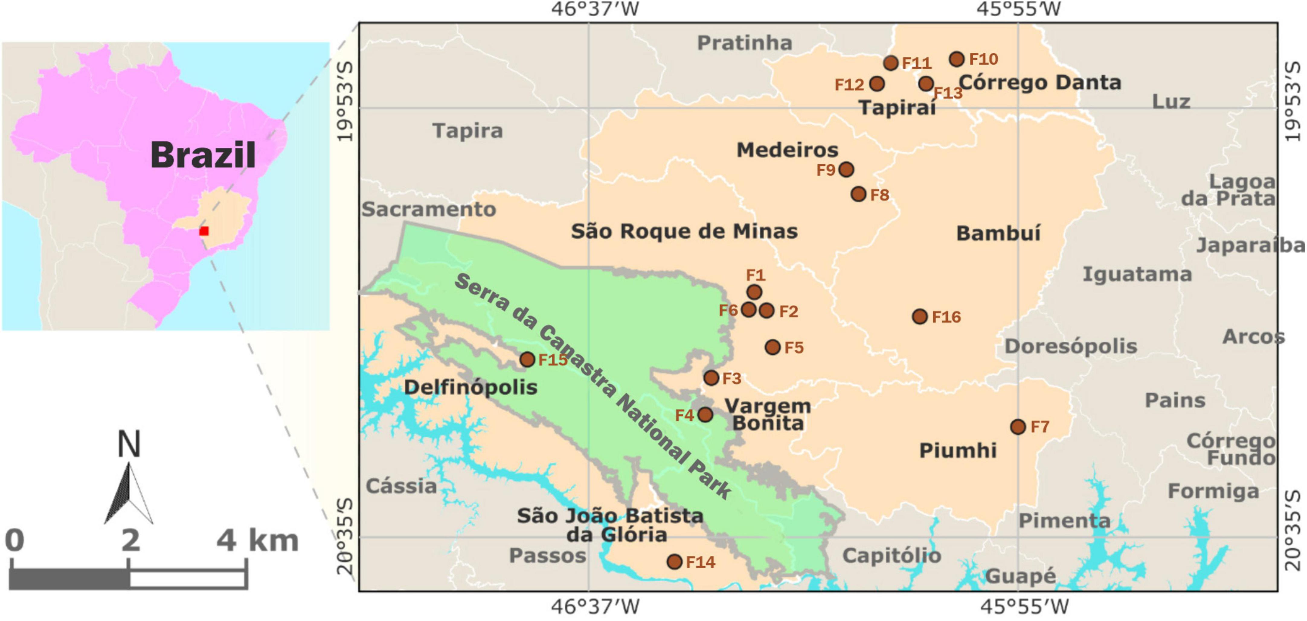 Seasonal variation in the Canastra cheese mycobiota